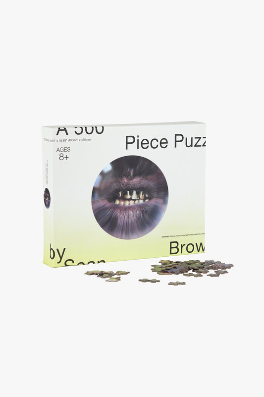 Curves 'Trick Fisheye' 500 Piece Puzzle