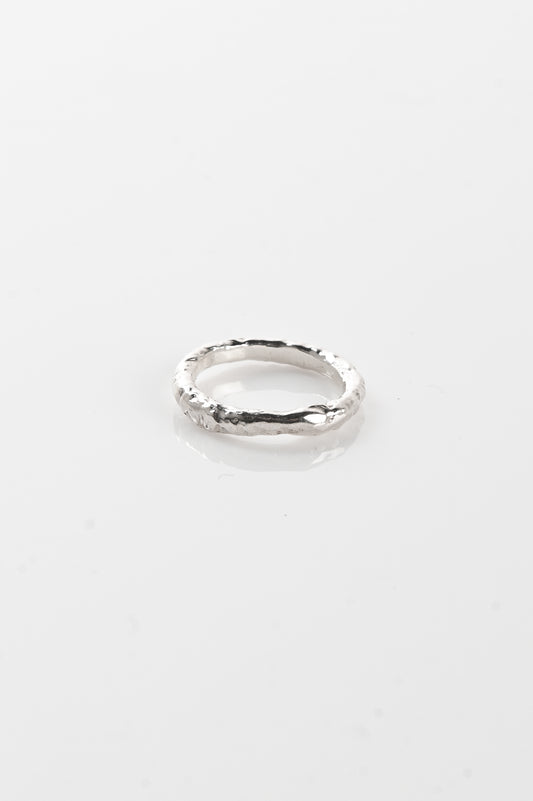 Studio Zali 'Raw' Band