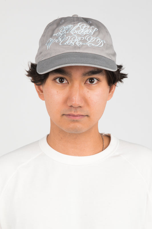Bugskin 'Bugs World' Cap in Grey
