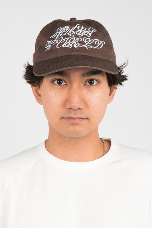 Bugskin 'Bugs World' Cap in Brown
