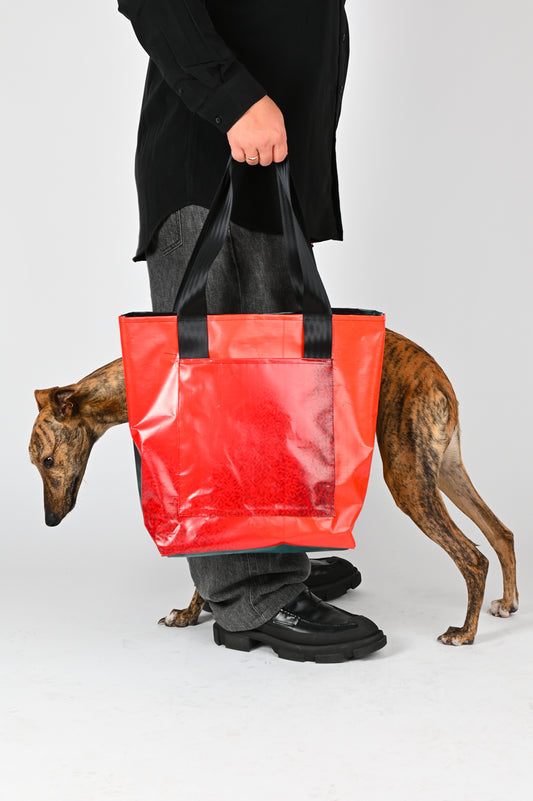 Bugskin 'Locust' Bag 027