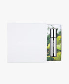 Curves 'Ascension' Fragrance Oil (Set of 3)