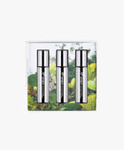 Curves 'Ascension' Fragrance Oil (Set of 3)