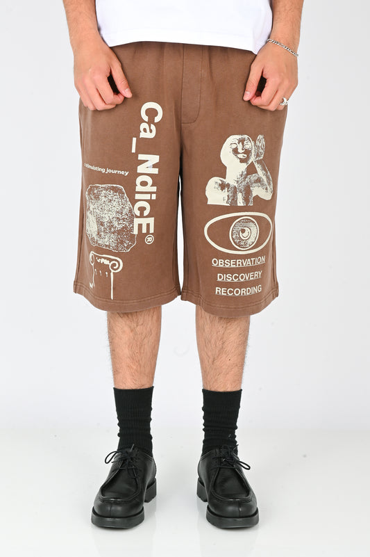 Candice 'Journey' Shorts in Brown