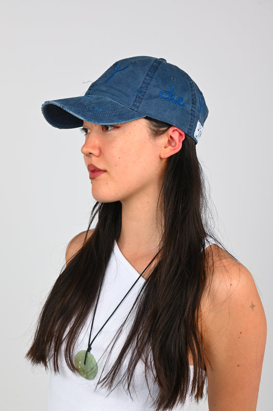 Die Horny 'Faded Blue horNY' Cap