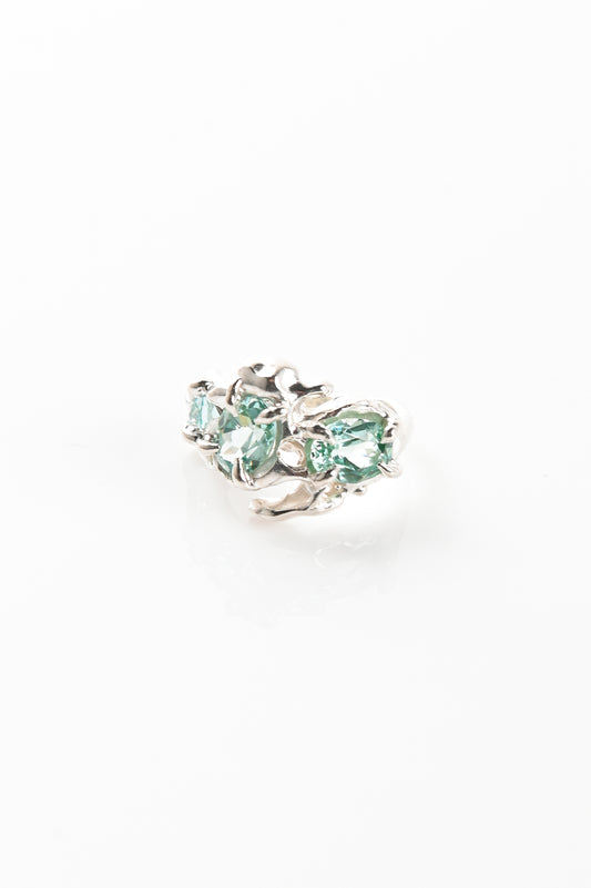 Sacreflux 'Decay ROT' Ring #25