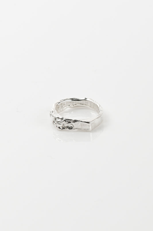 Nadia Ridiandries 'Melting Away' Tiny Ring